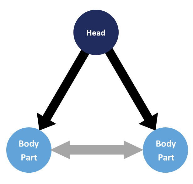 Head Body Connected and Contributing